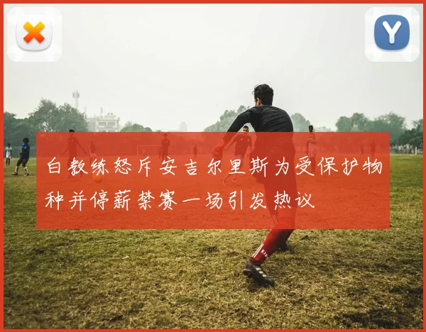 白教练怒斥安吉尔里斯为受保护物种并停薪禁赛一场引发热议